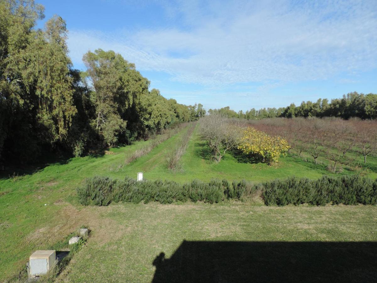 Agriturismo I Doni Del Mandorlo Alghero Exteriér fotografie