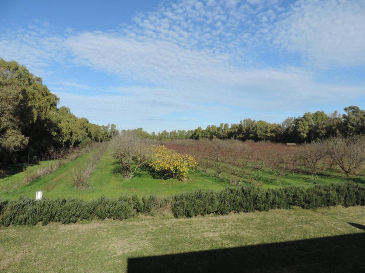 Agriturismo I Doni Del Mandorlo Alghero Exteriér fotografie